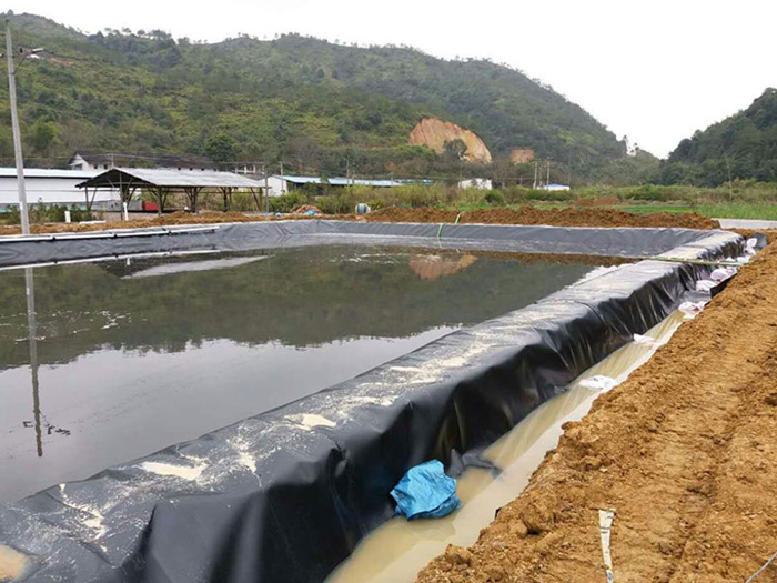 魚(yú)塘里用土工膜做防滲層需不需要回填土壤？